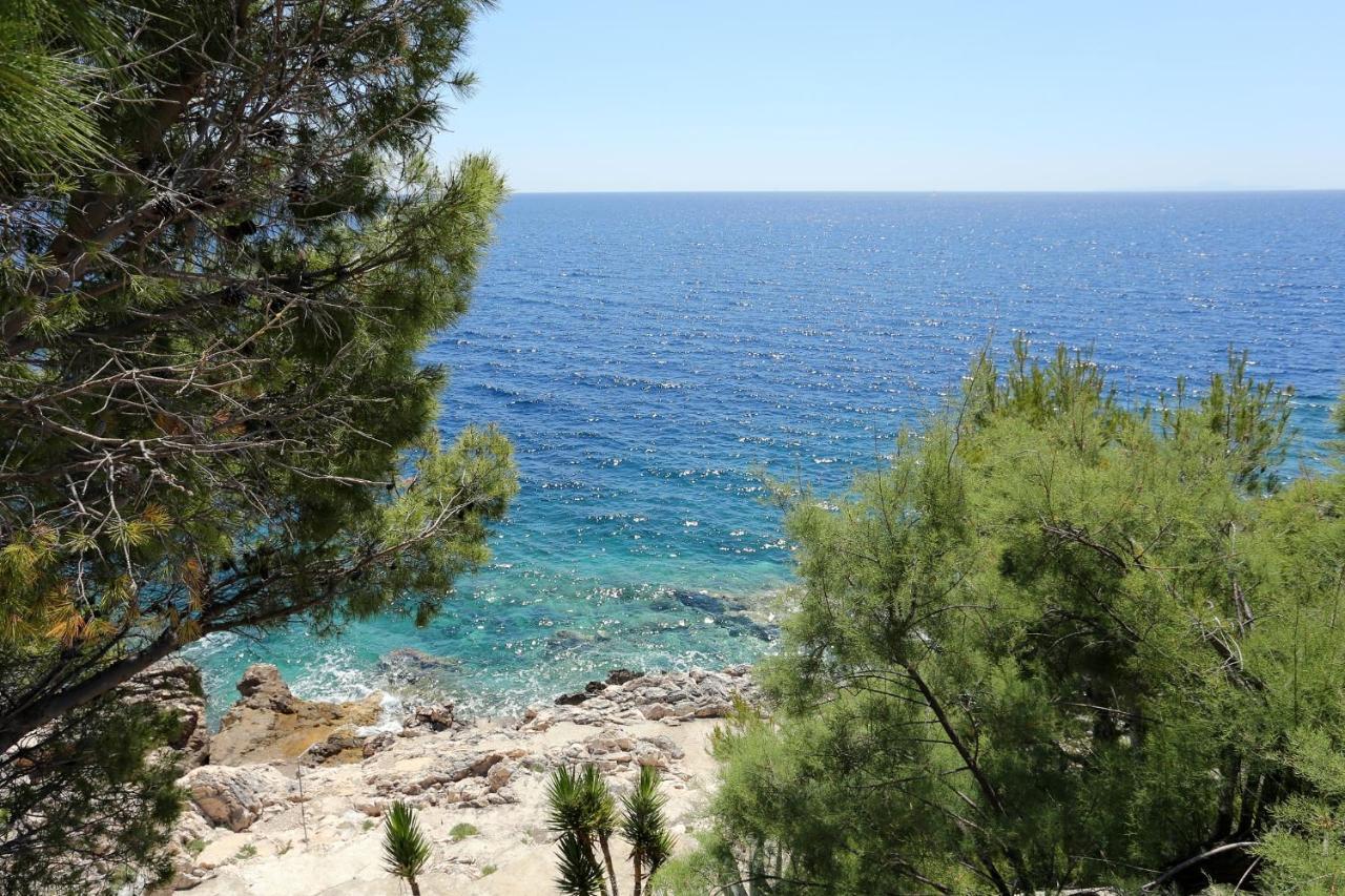 Apartments By The Sea Dingac - Potocine, Peljesac - 4533 Potomje Eksteriør billede